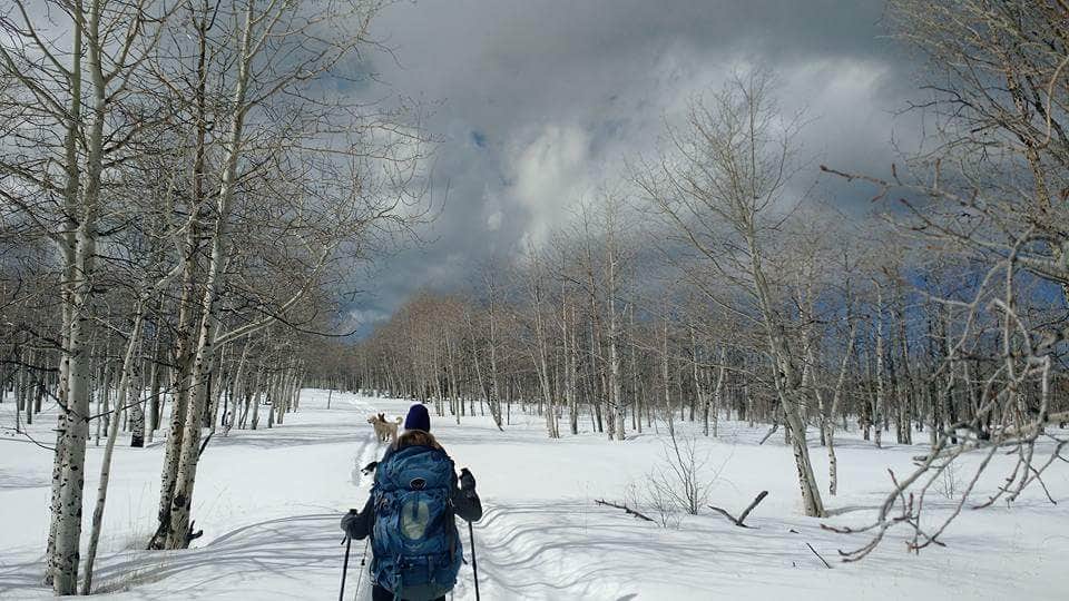 Camper-submitted photo at Colton Guard Station near Dutch John, UT