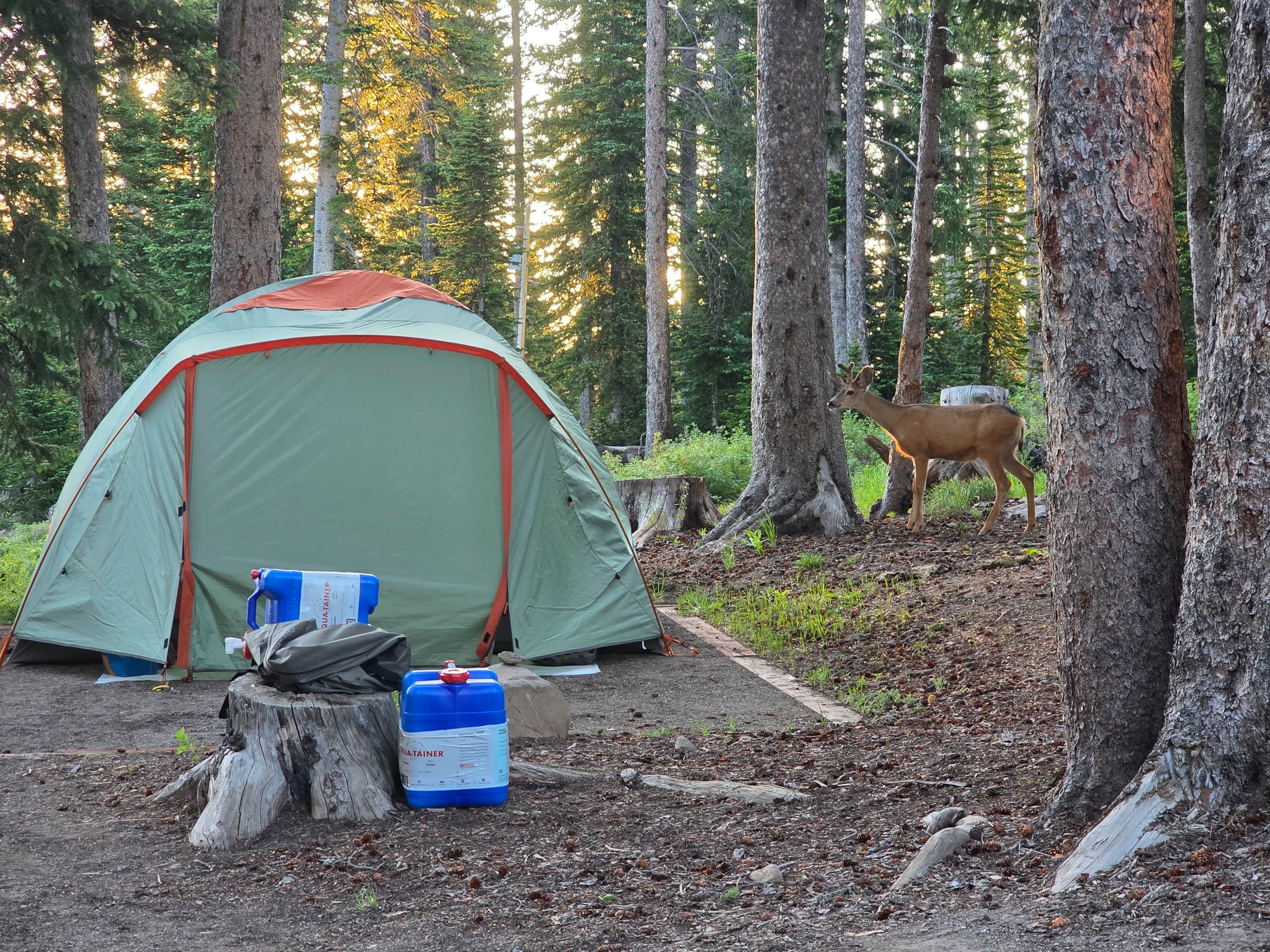 Adam O.'s photo at Island Lake Campground near De Beque, CO