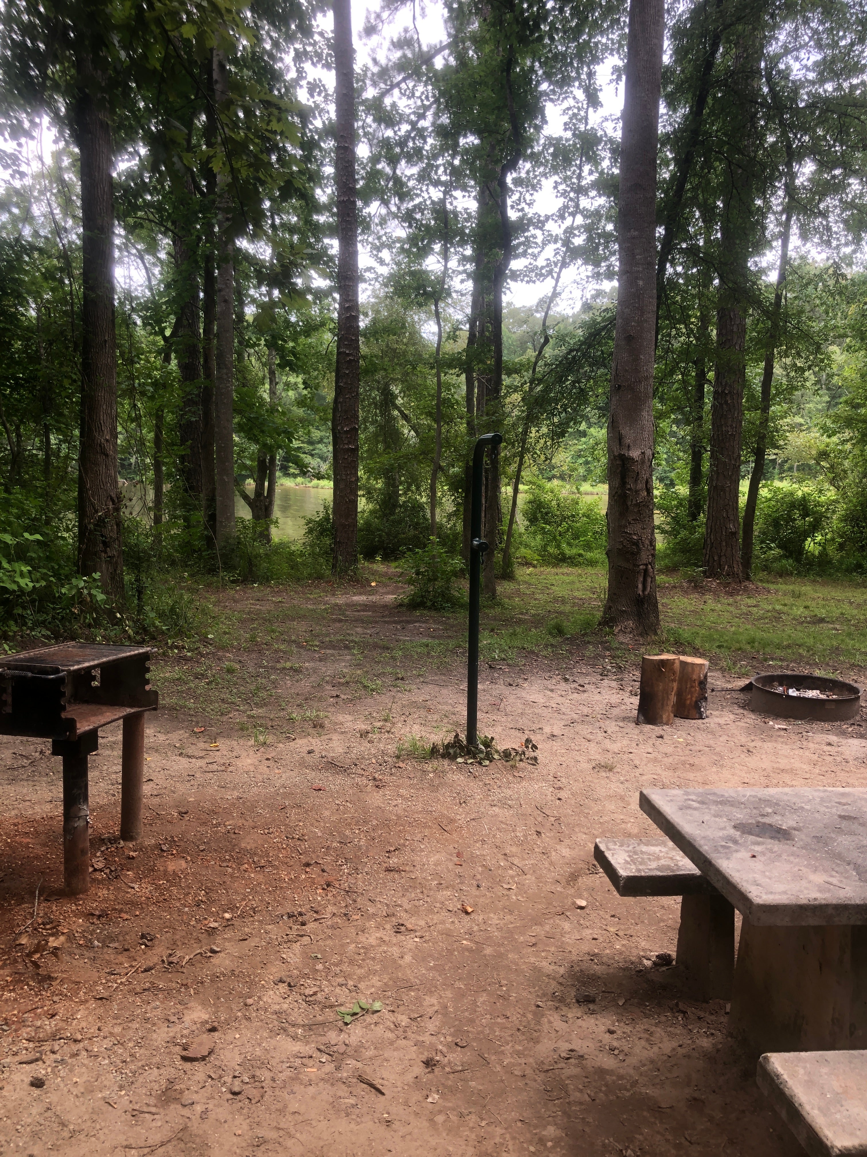 Camper submitted image from Lake Sinclair Campground - 4