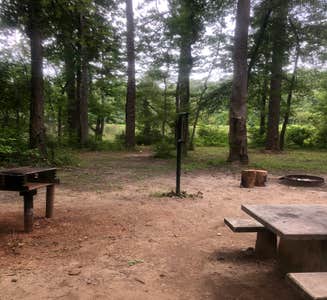 Camper-submitted photo from Lake Sinclair Campground