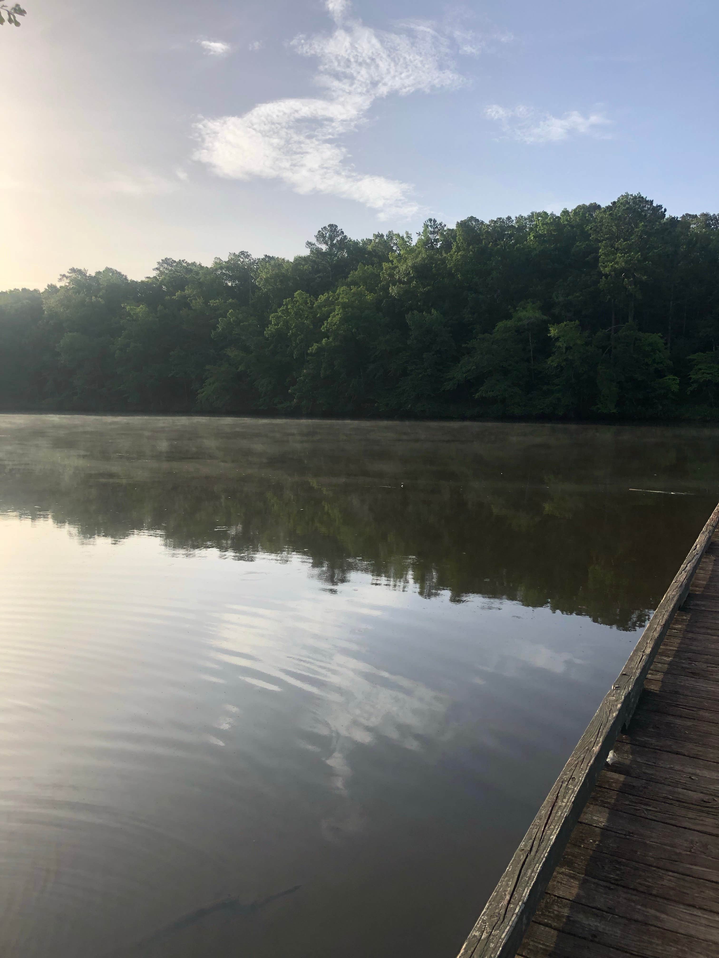Camper submitted image from Lake Sinclair Campground - 3