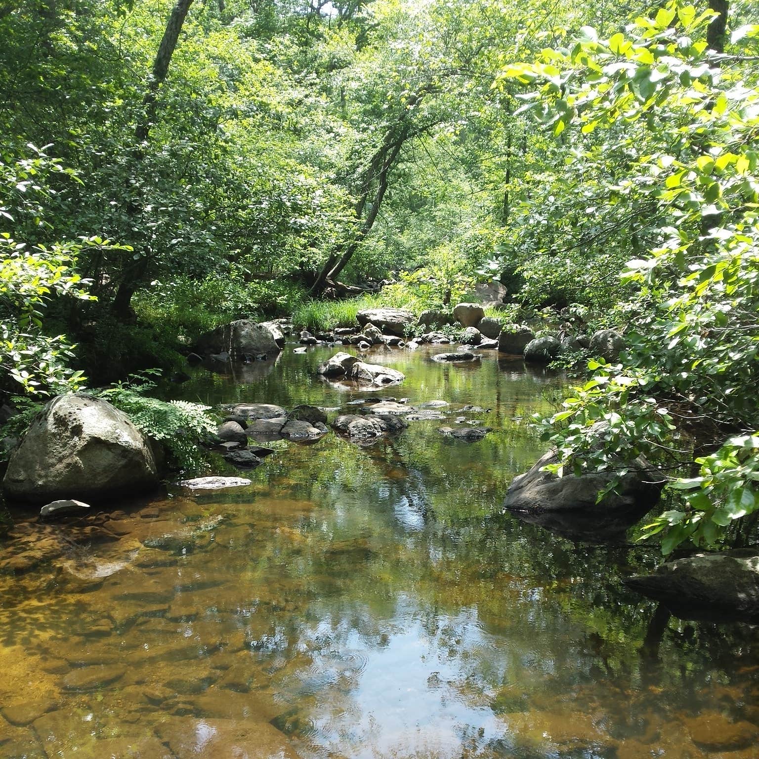 Hawn State Park Campground Ste. Genevieve, MO