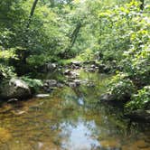 Review photo of Hawn State Park Campground by Tony H., September 22, 2016