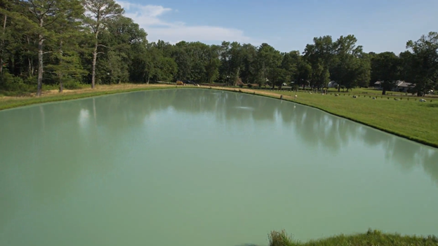 Camper-submitted photo at Campville LLC near Rocky Face, GA