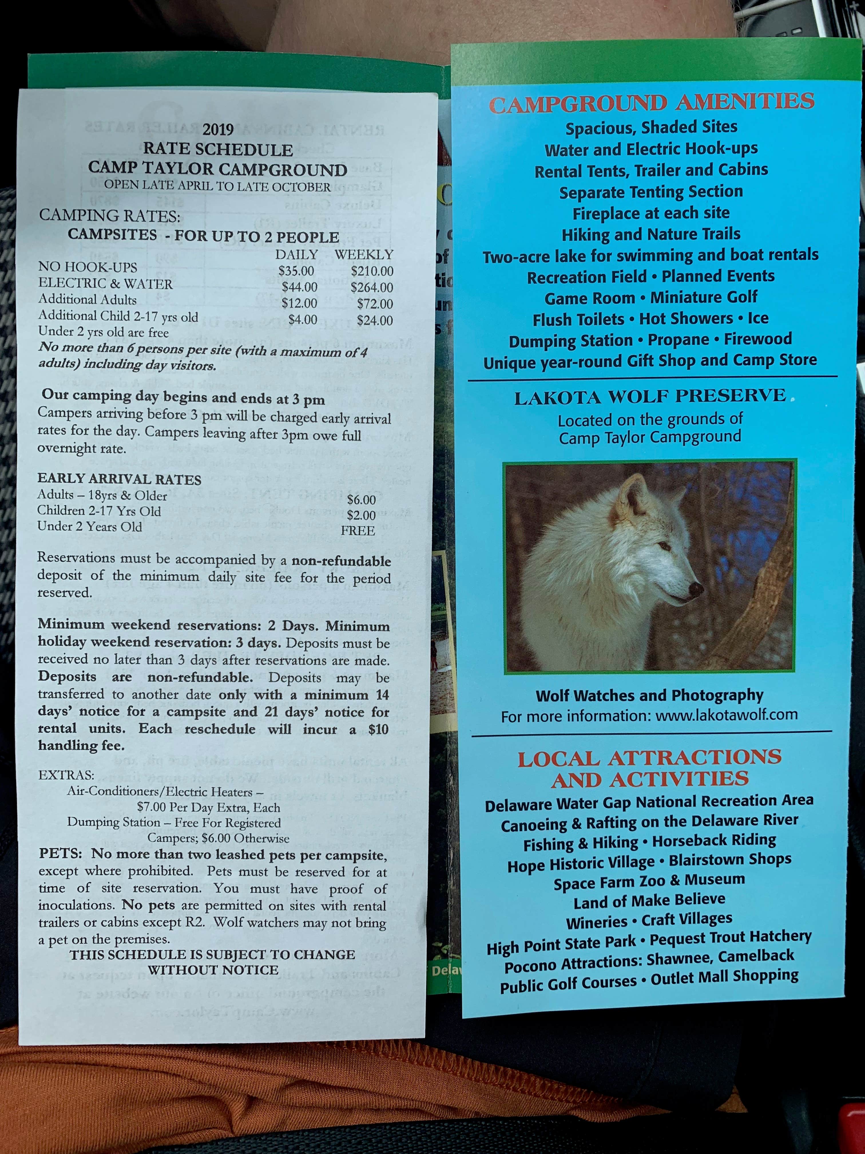 Ethan K.'s photo of camping with pets at Camp Taylor Campground near Delaware Water Gap National Recreation Area