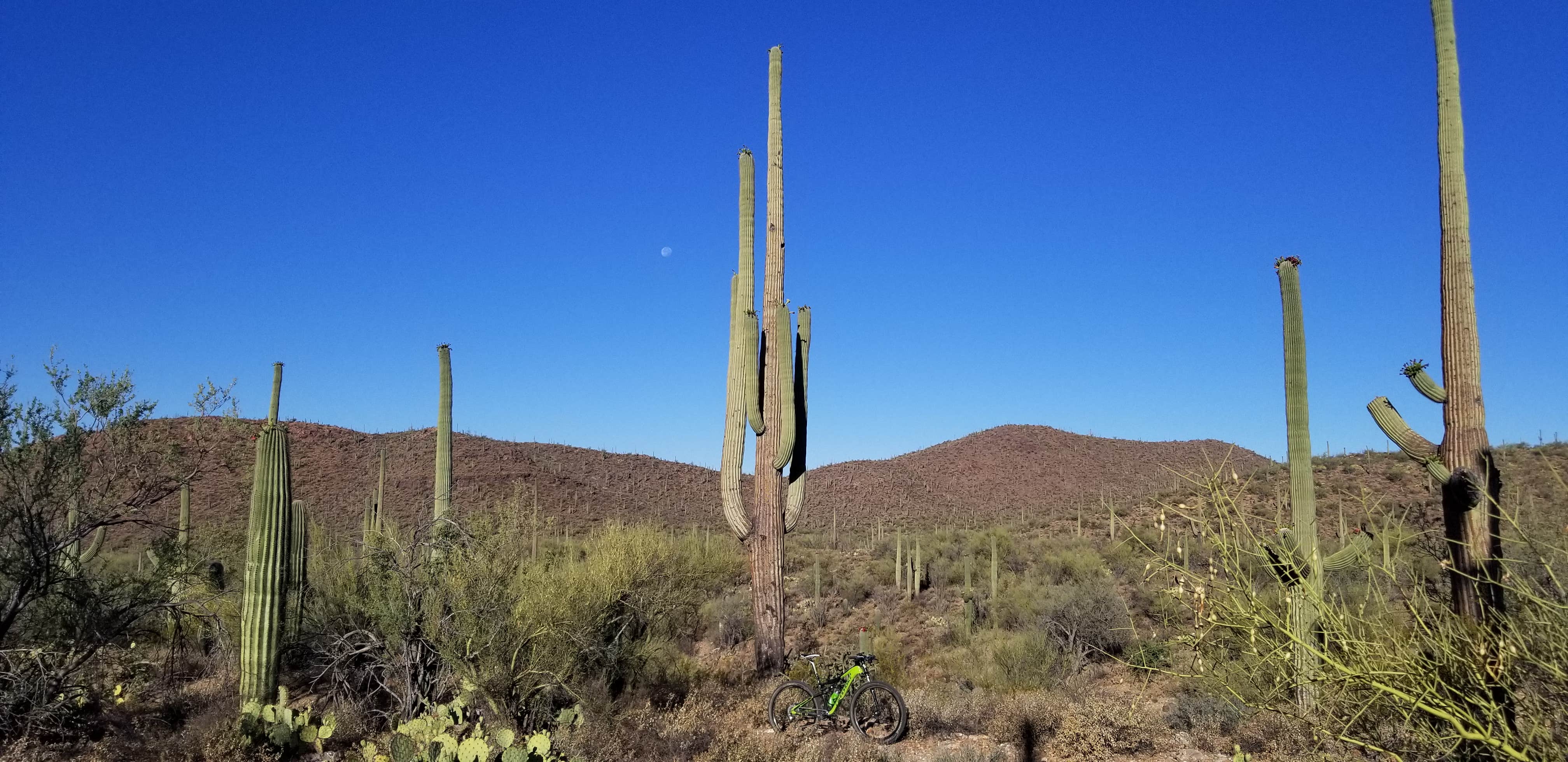 The area trails have some amazing views.