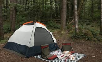 Erika B.'s photo at Sunnyside Campground near Willamette National Forest