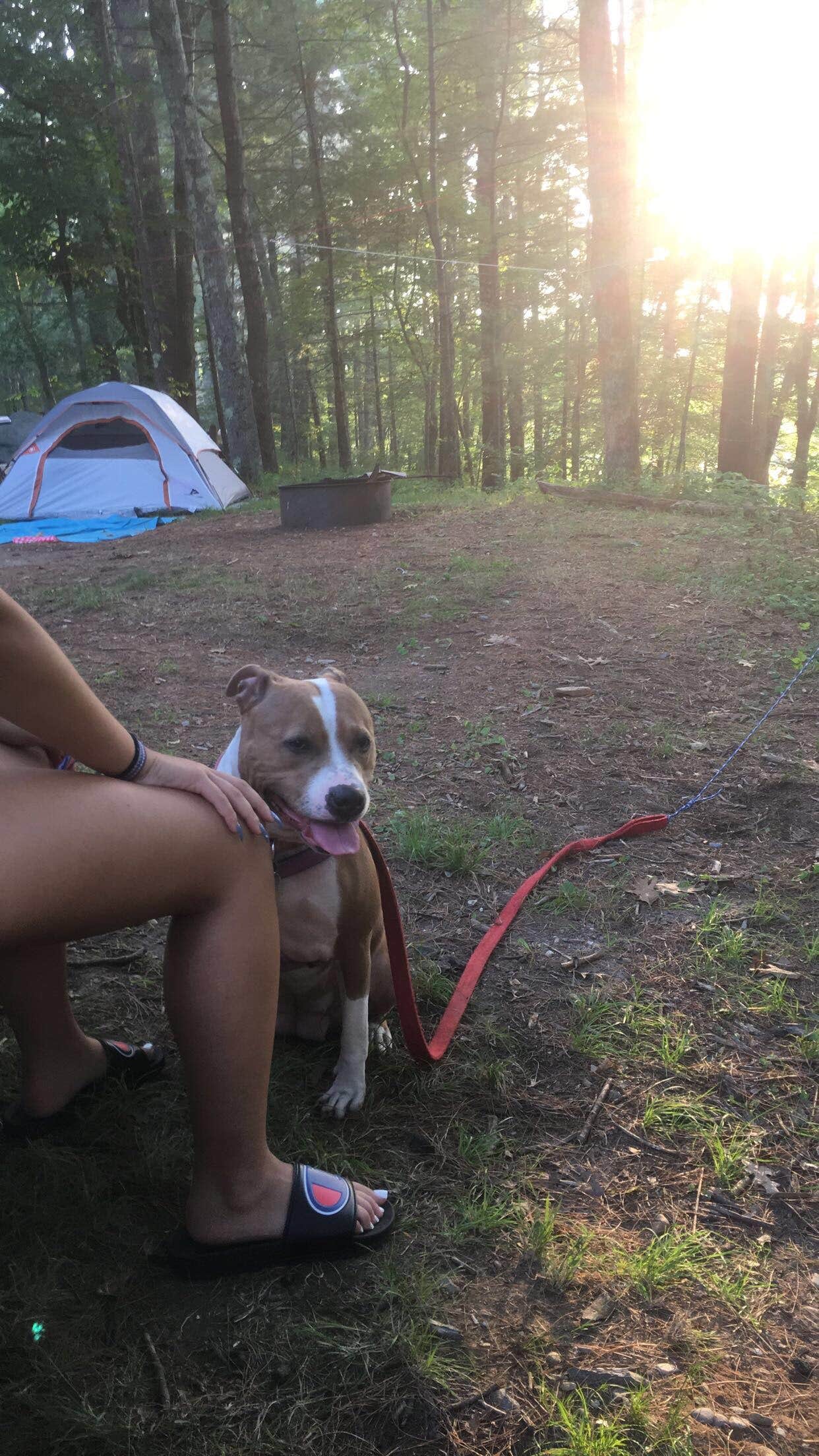 Mileine S.'s photo at Massasoit State Park Campground near Westport Point, MA