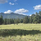 Review photo of Forest Service Road 245 by Michael F., July 27, 2025