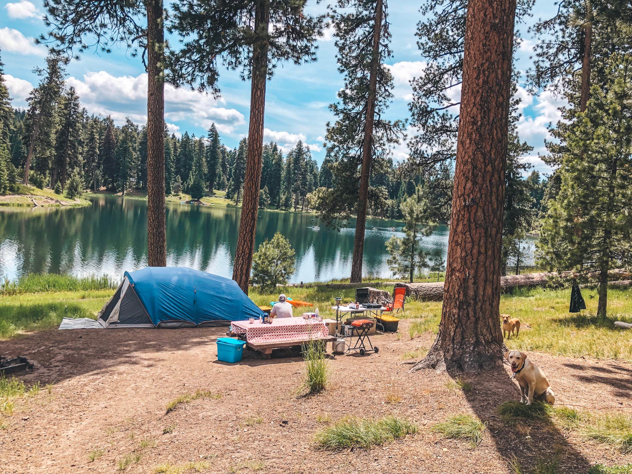 Walton Lake: Oregon's Hidden Gem – A Campground Escape