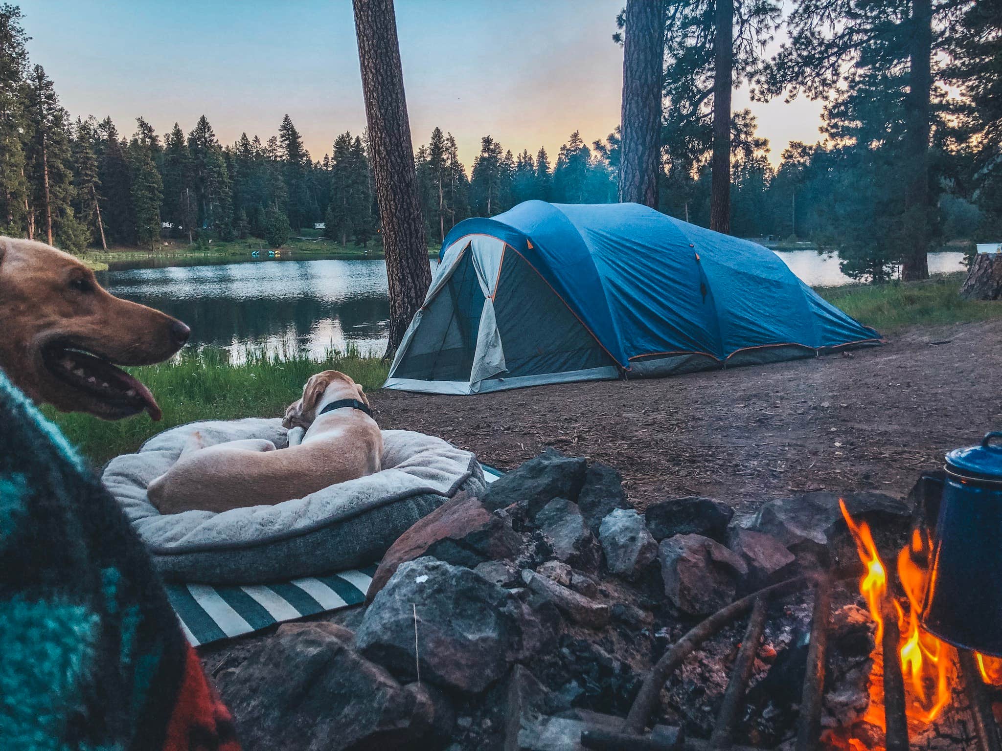 Halie M.'s photo of camping with pets at Walton Lake near Ochoco National Forest and Crooked River National Grassland
