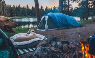 Halie M.'s photo of camping with pets at Walton Lake near Central Oregon