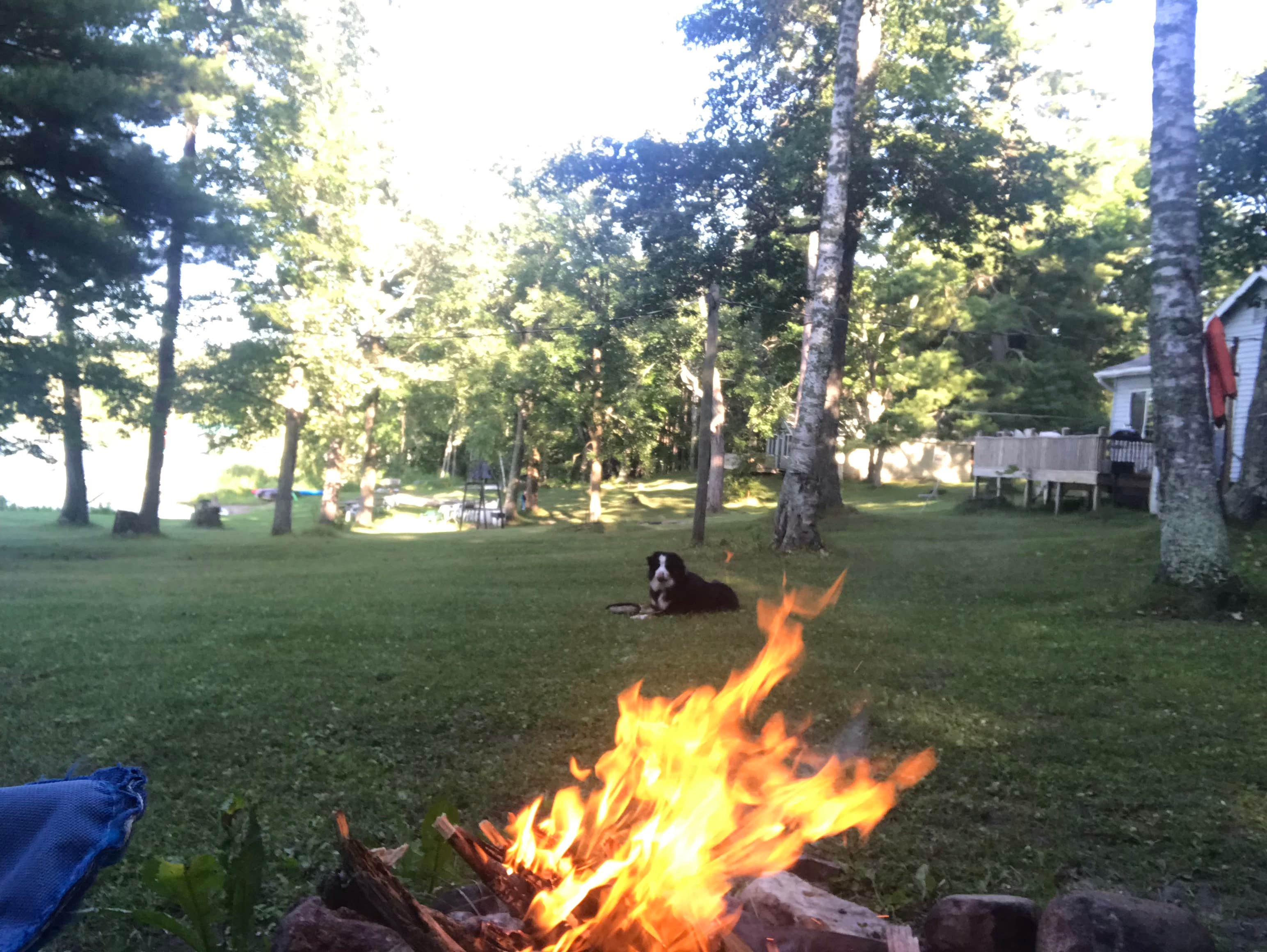 Camping near Big Bog State Recreation Area: West Alaska Resort, Shevlin, Minnesota