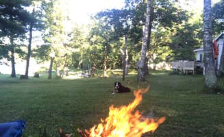 Olivia M.'s photo of camping with pets at West Alaska Resort near Bagley, MN