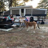 Review photo of Cape Henlopen State Park Campground by Chris G., June 6, 2019