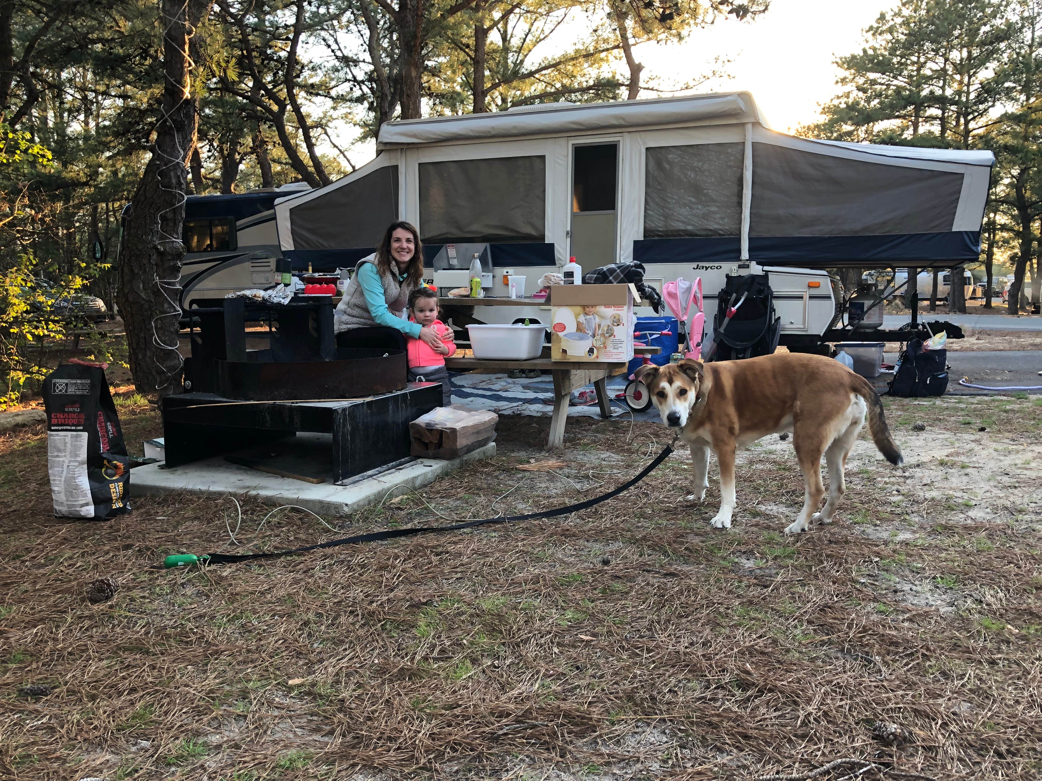 Chris G.'s photo of camping with pets at Cape Henlopen State Park Campground near Cape May Point, NJ