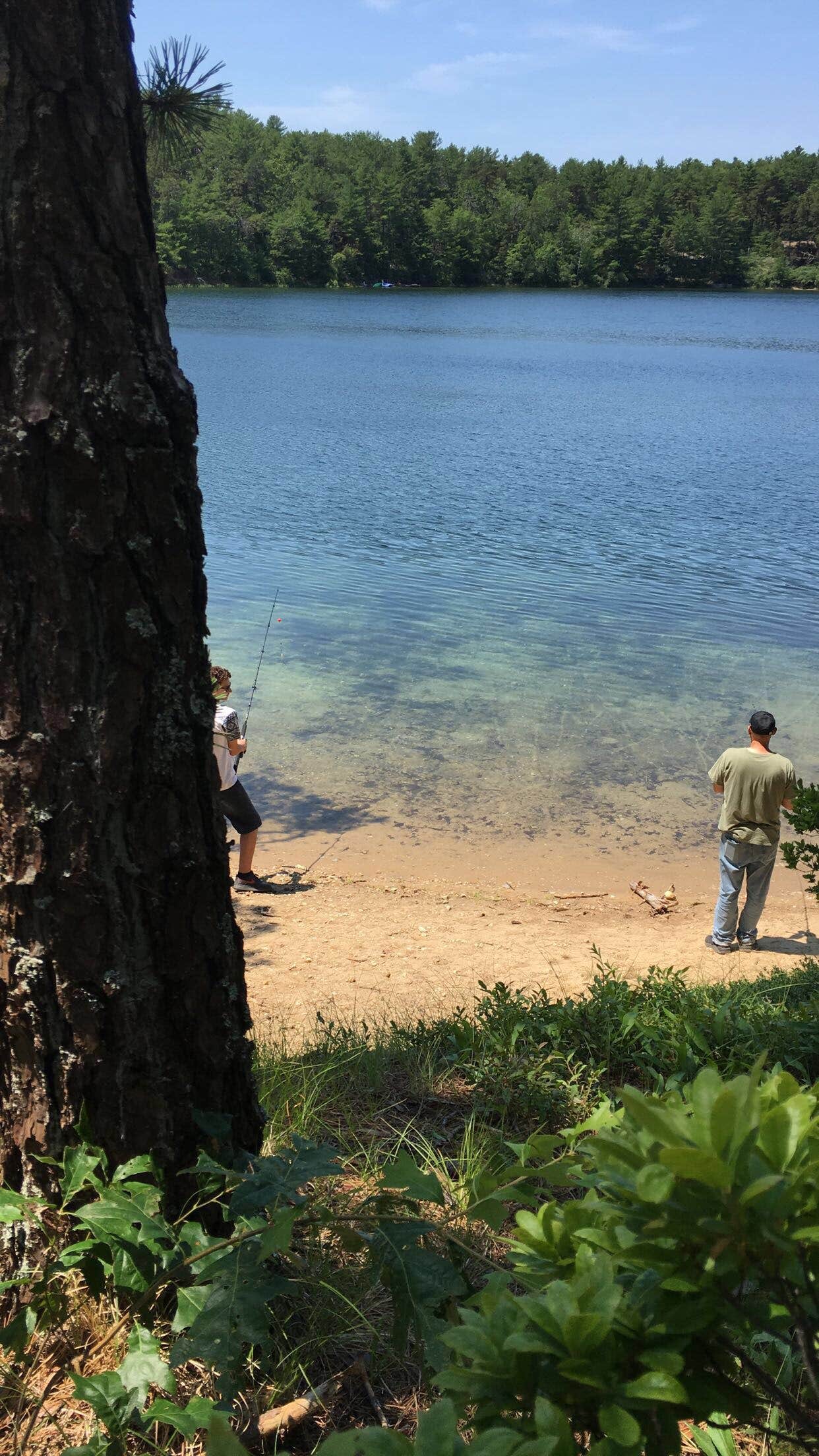 Camper-submitted photo at Charge Pond Campground — Myles Standish State Forest near Rockland, MA