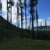 Review photo of Big Creek Campground (flathead National Forest, Mt) by Drea M., September 22, 2016
