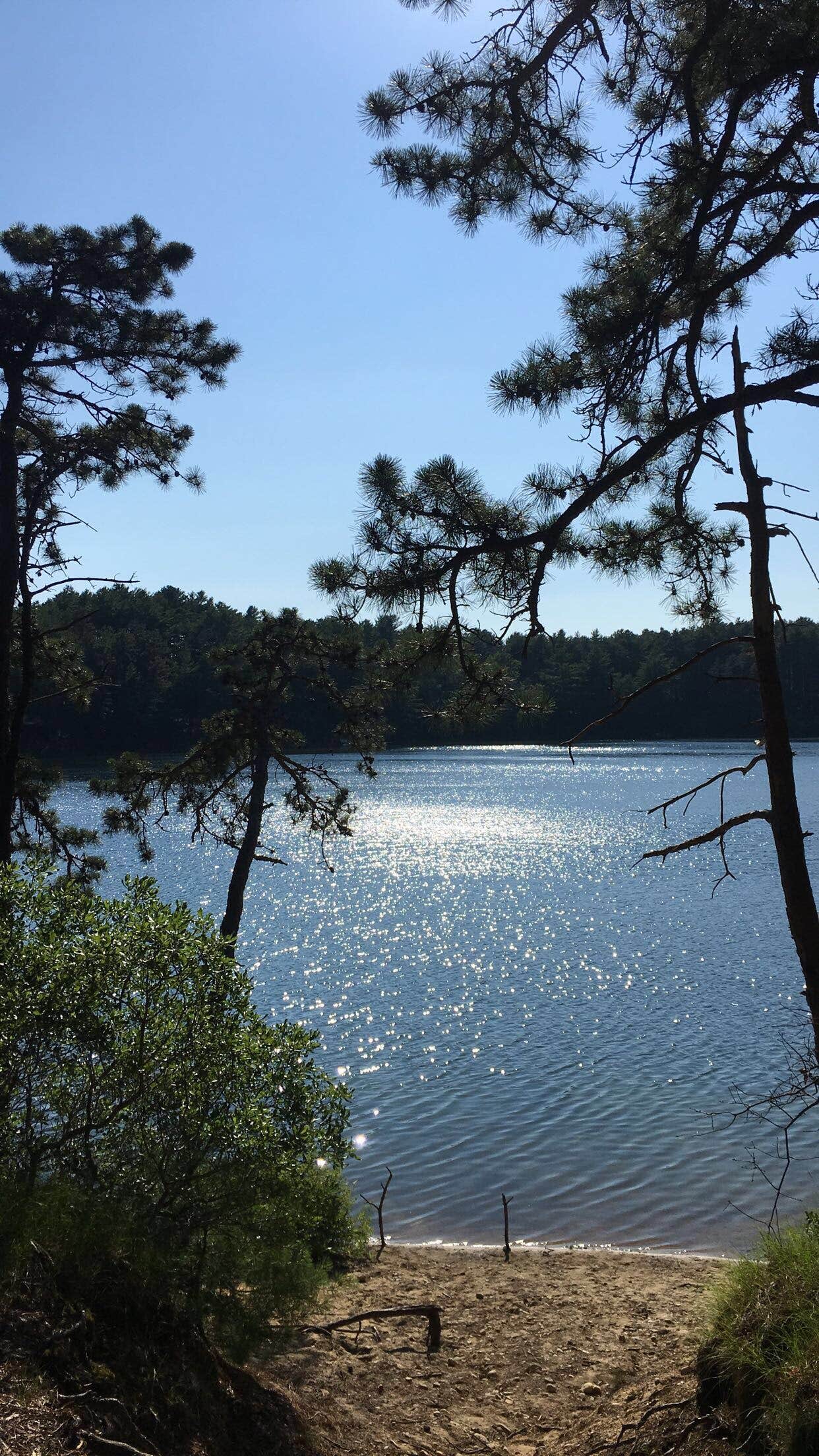 Camper submitted image from Charge Pond Campground — Myles Standish State Forest - 2