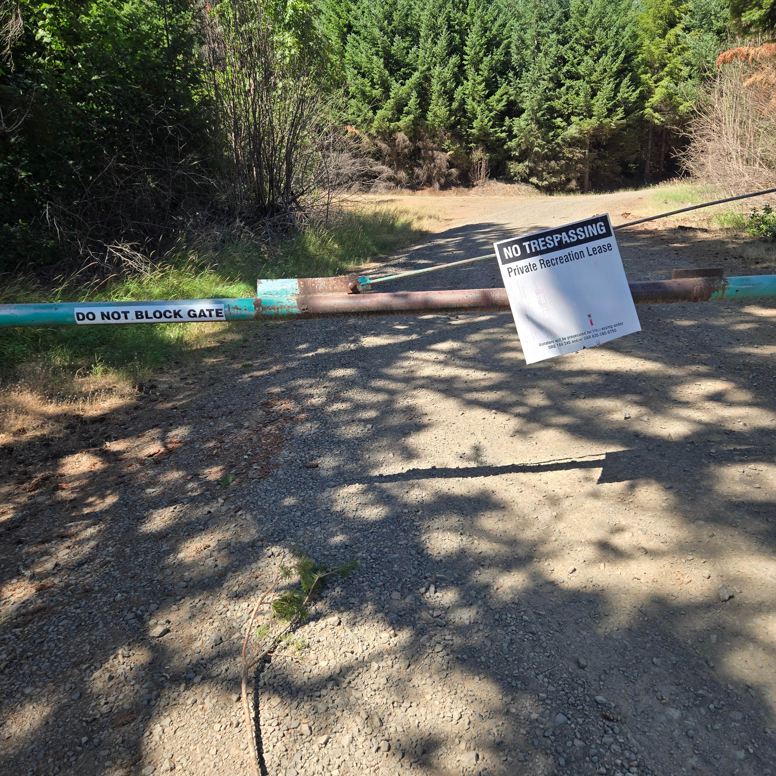 Camper-submitted photo at Top ‘O the Mountain near Multnomah Falls, OR