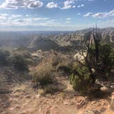Review photo of Angel Peak NM Badlands | Dispersed Camping by Andrea P., July 28, 2025