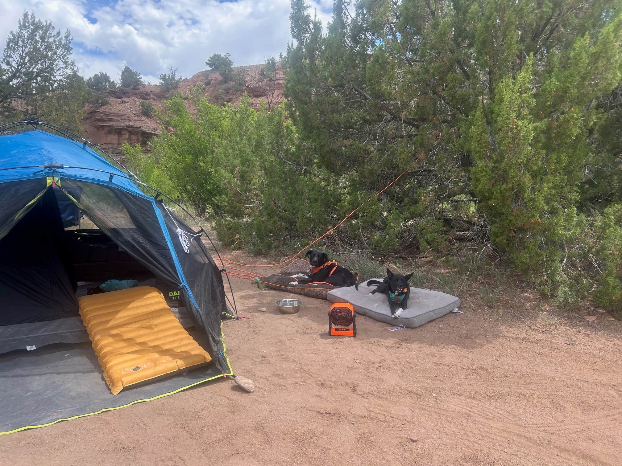 Andrea P.'s photo at Whirlpool Dispersed Camping Area near Abiquiu, NM