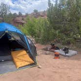 Review photo of Whirlpool Dispersed Camping Area by Andrea P., July 28, 2025