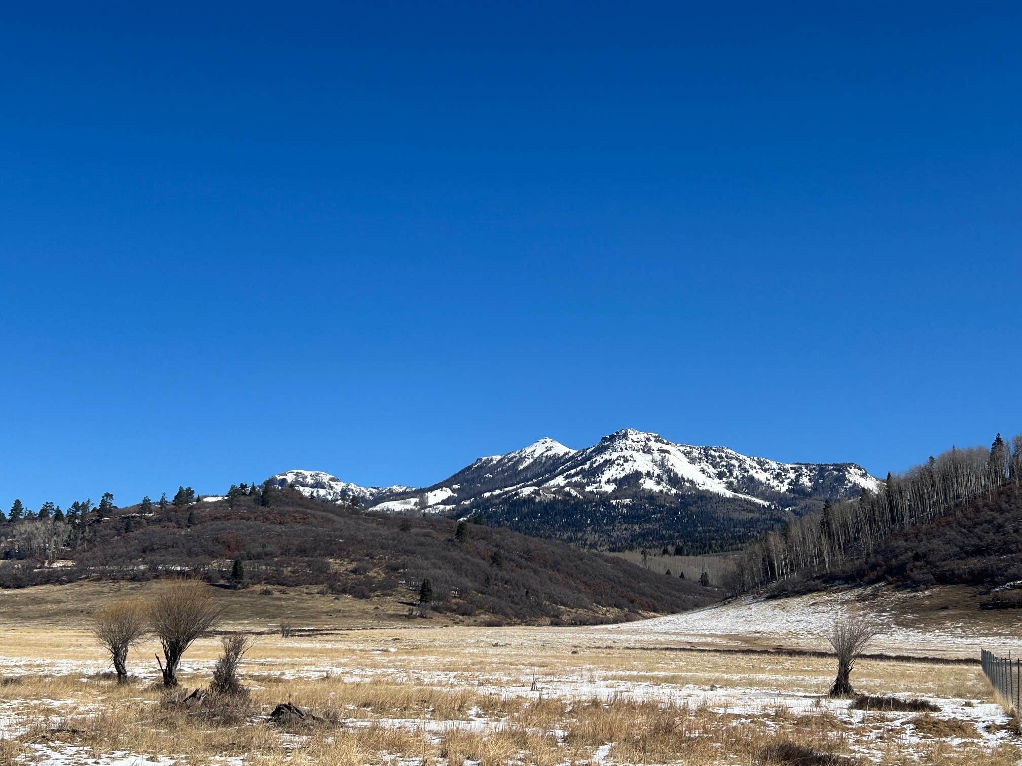 Camper-submitted photo at Edward Sargeant Wildlife Management Area near Los Ojos, NM