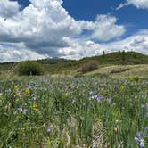Review photo of Edward Sargeant Wildlife Management Area by Andrea P., July 28, 2025