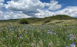 Andrea P.'s photo of a dispersed camping area at Edward Sargeant Wildlife Management Area near Los Ojos, NM
