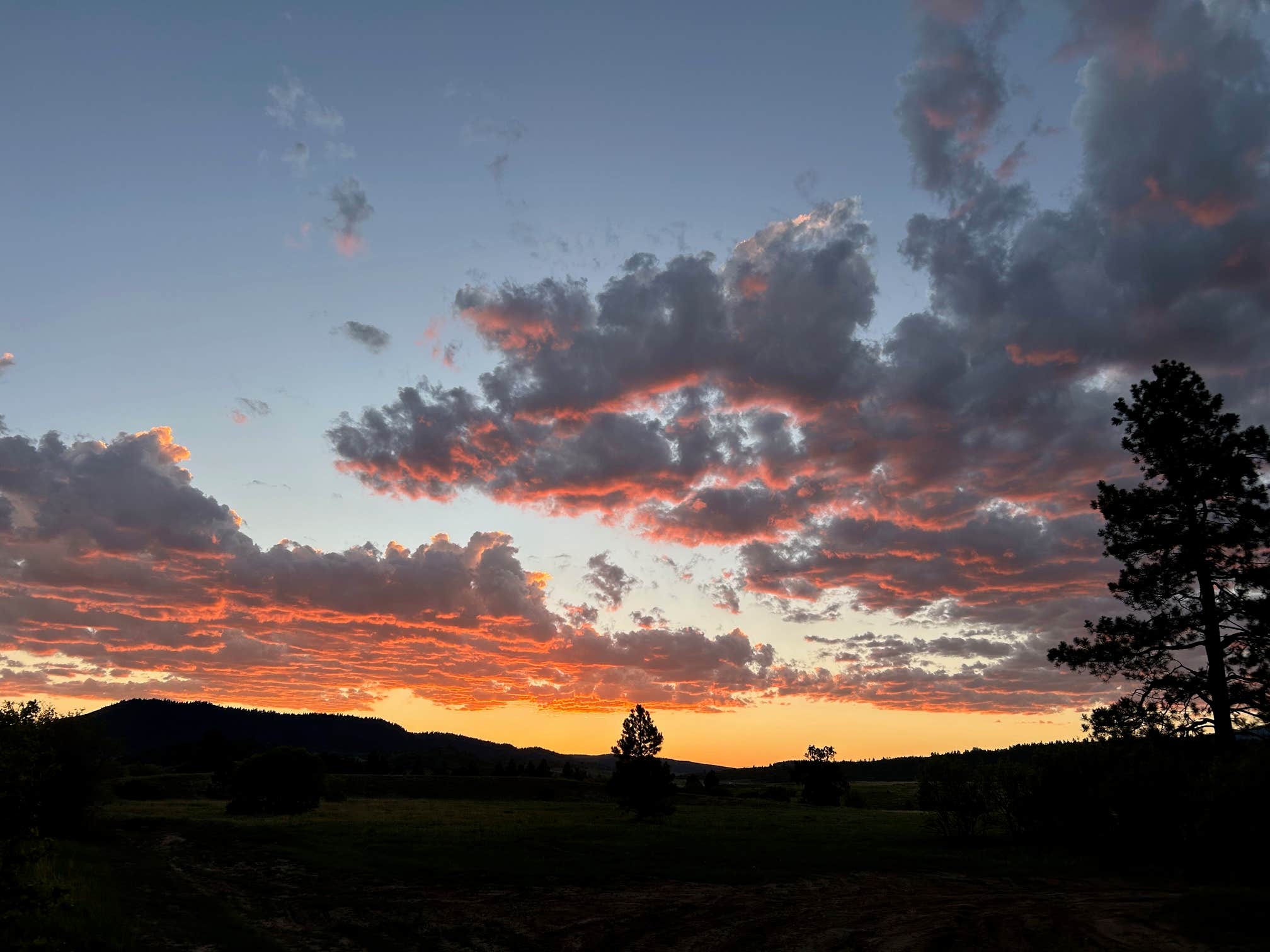 Camper submitted image from Edward Sargeant Wildlife Management Area - 1