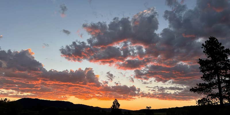 Camper submitted image from Edward Sargeant Wildlife Management Area