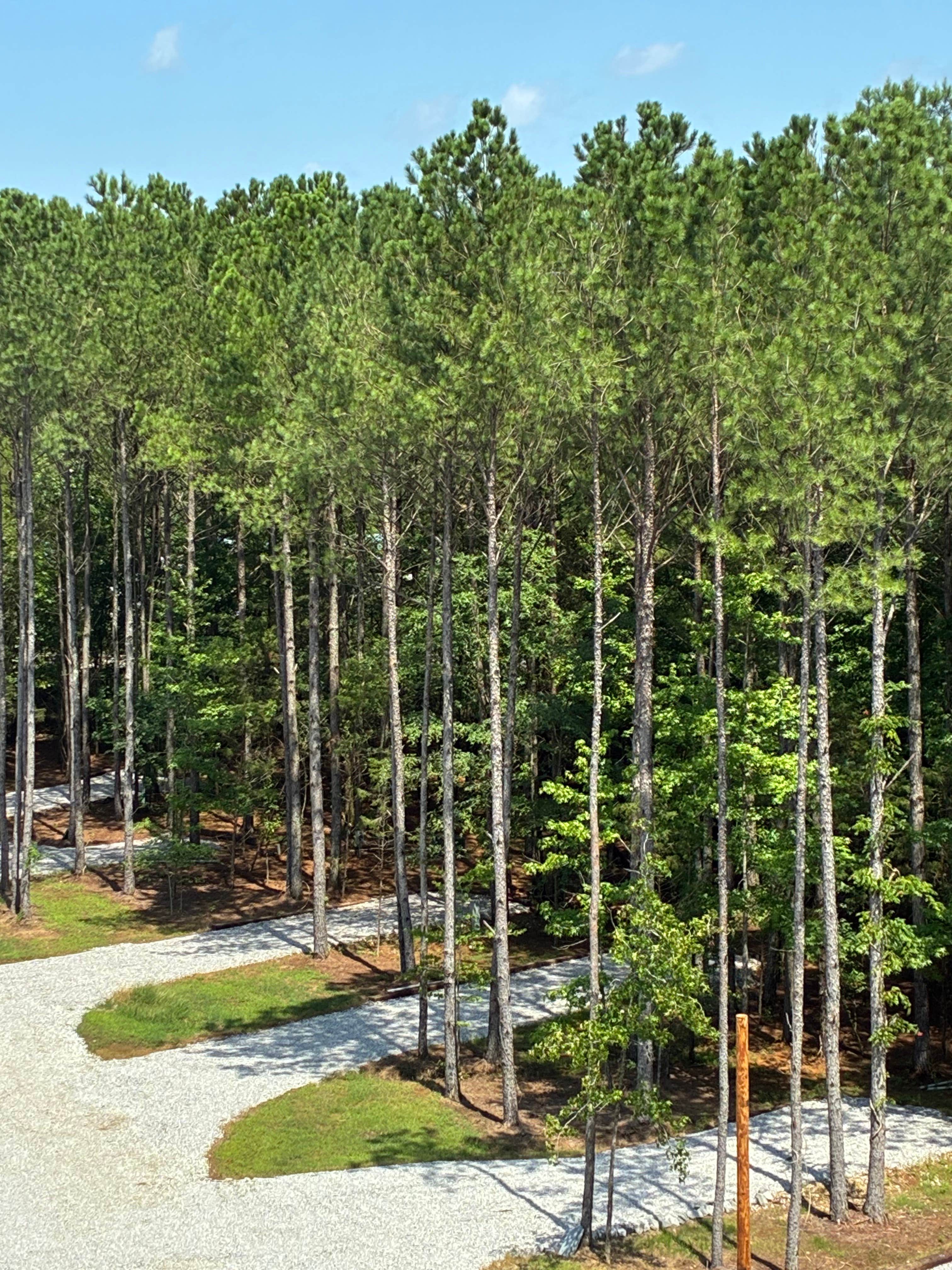 Camper-submitted photo at Shade tree RV near Pontotoc, MS