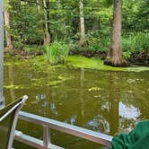 Review photo of South Campground — Reelfoot Lake State Park by Tom B., July 29, 2025