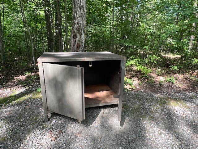 Lourdes's photo of camping with pets at Pittsfield State Forest Campground near Albany, NY
