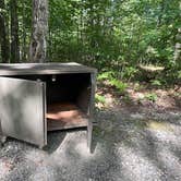 Review photo of Pittsfield State Forest Campground by Lourdes , July 29, 2025