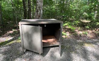 Lourdes's photo of camping with pets at Pittsfield State Forest Campground in Massachusetts