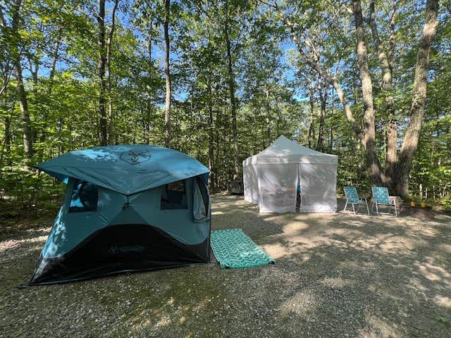 Lourdes's photo at Pittsfield State Forest Campground near Stephentown, NY
