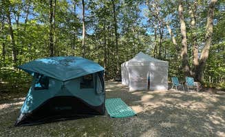 Lourdes's photo at Pittsfield State Forest Campground near Cheshire, MA