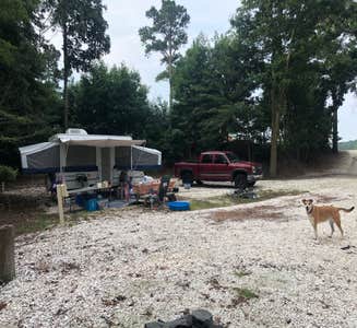 Camper-submitted photo from Island Resort Campground 