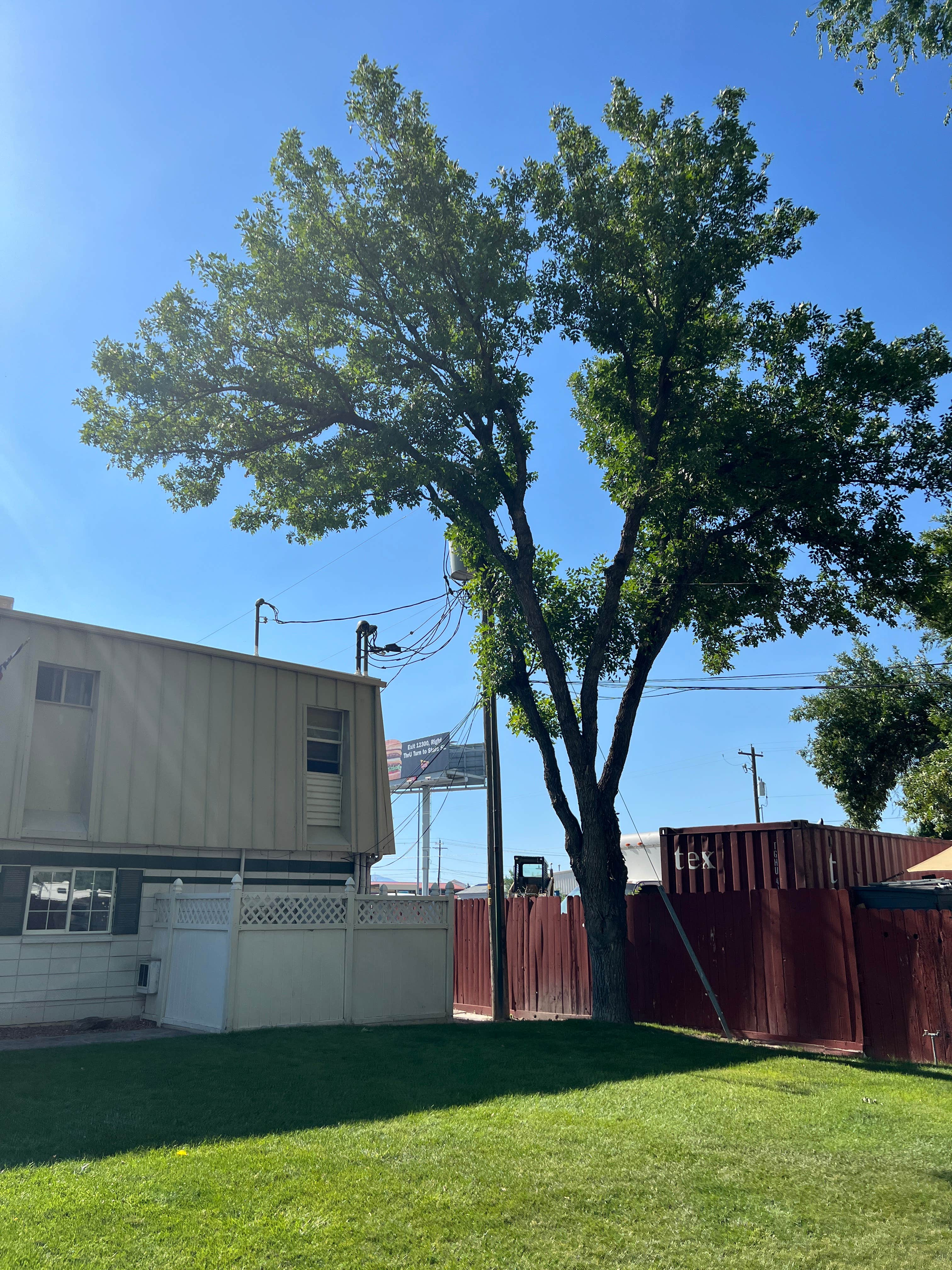 Camper-submitted photo at Mountain Shadows RV Park near Bingham Canyon, UT