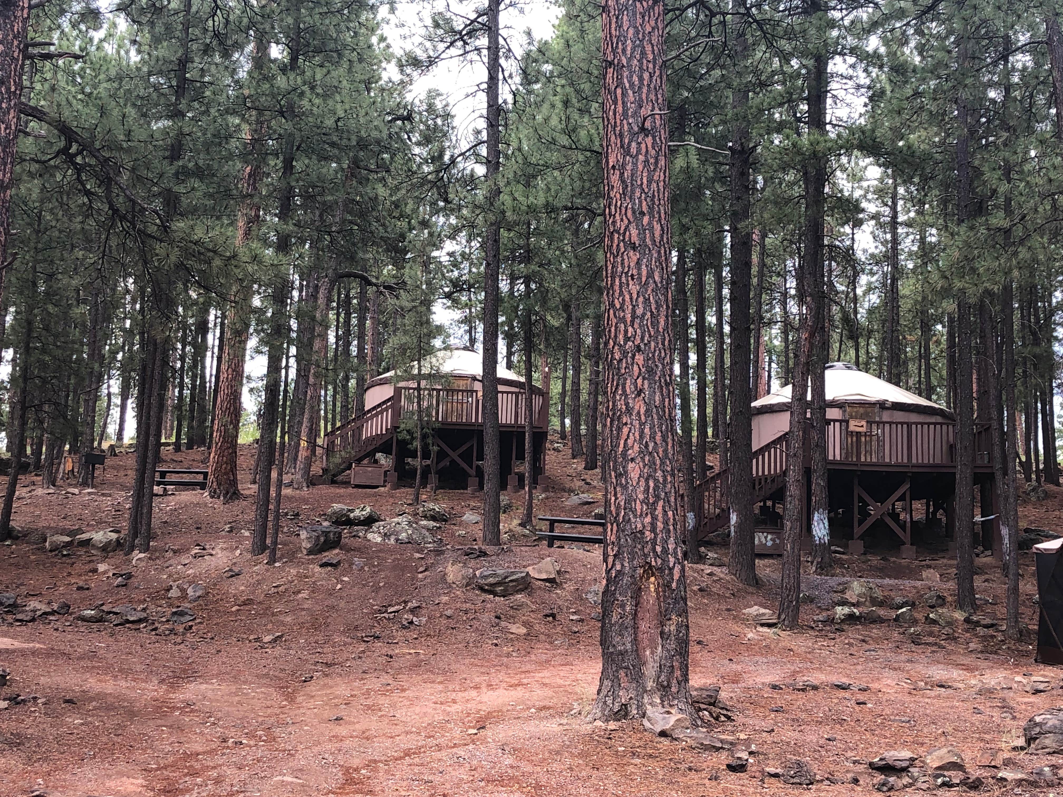 Erin S.'s photo of glamping accommodations at Fort Tuthill Luke AFB Recreation Area near Camp Verde, AZ