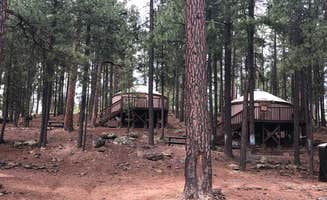 Erin S.'s photo of a cabin at Fort Tuthill Luke AFB Recreation Area near Leupp, AZ
