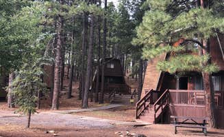 Erin S.'s photo of a cabin at Fort Tuthill Luke AFB Recreation Area in Arizona