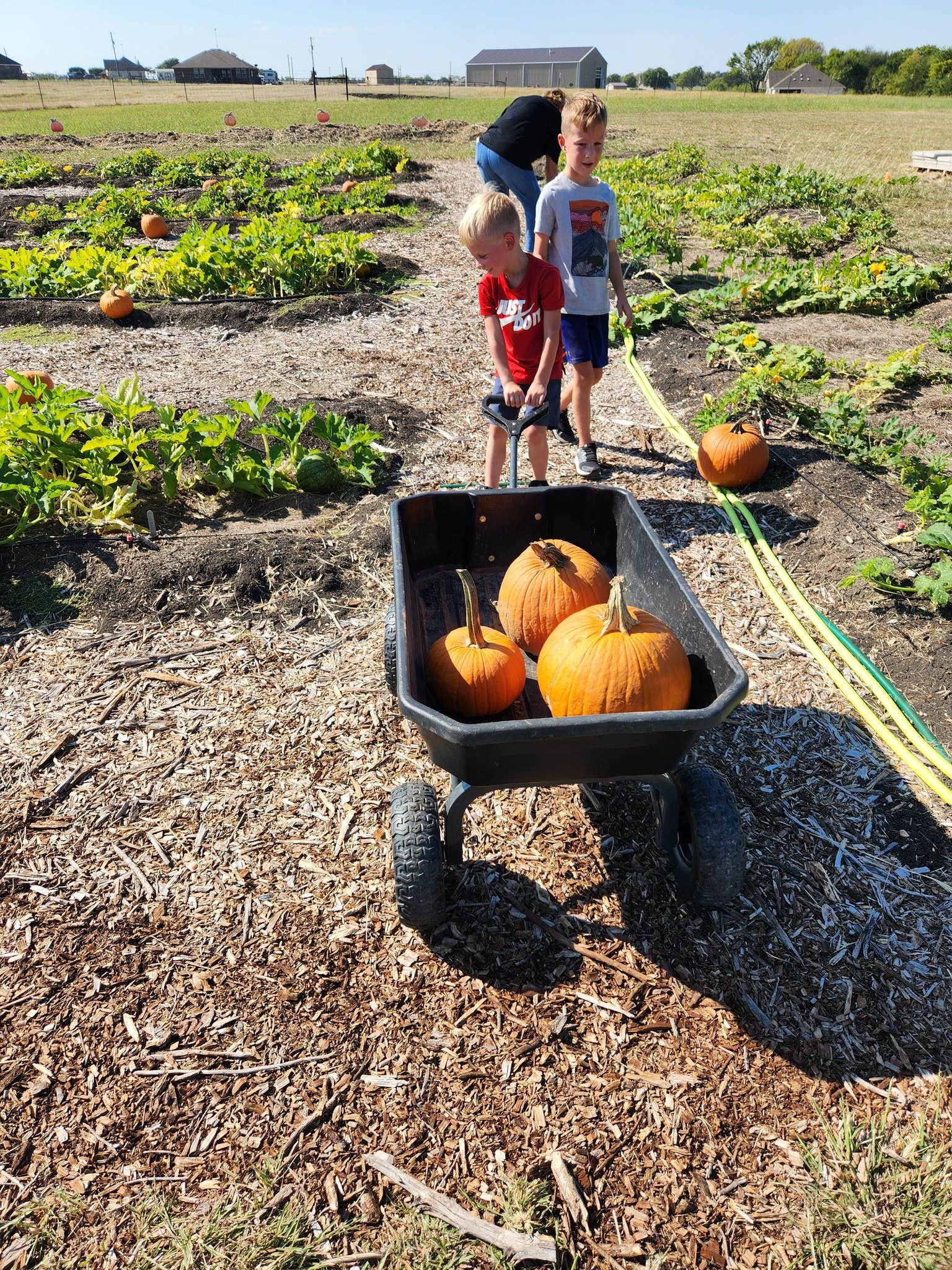 Camper-submitted photo at Grayson Farms Camping and Events near Bonham, TX