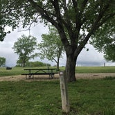 Review photo of Lucas Park by Crystal C., July 31, 2019
