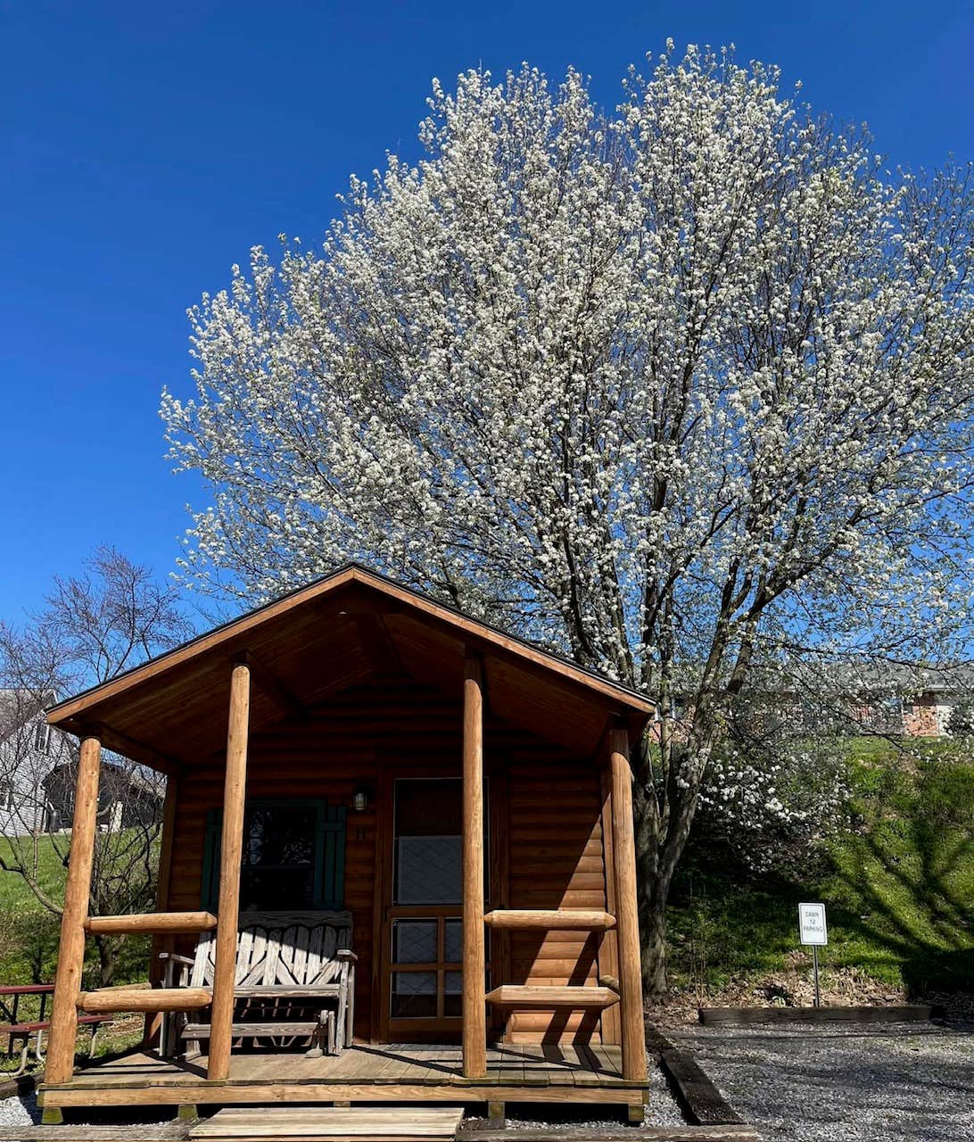 Beacon Hill Camping C.'s photo of a cabin at Beacon Hill Camping near Reading, PA