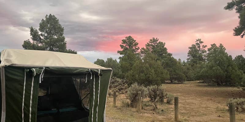 Camper submitted image from Blanco Campground — Heron Lake State Park