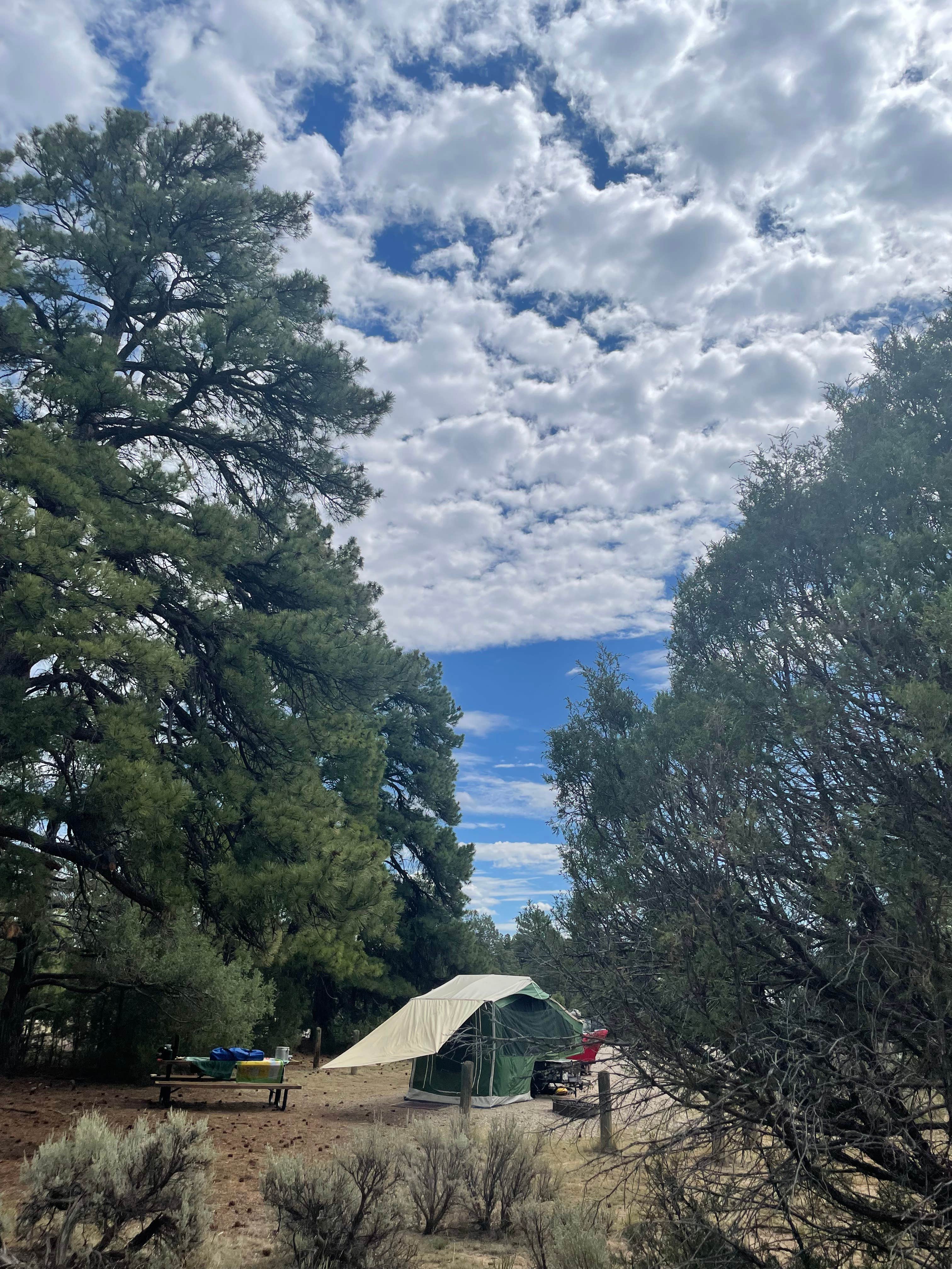 Camper-submitted photo at Blanco Campground — Heron Lake State Park near Los Ojos, NM