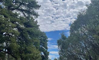 Brian O.'s photo at Blanco Campground — Heron Lake State Park near Canjilon, NM